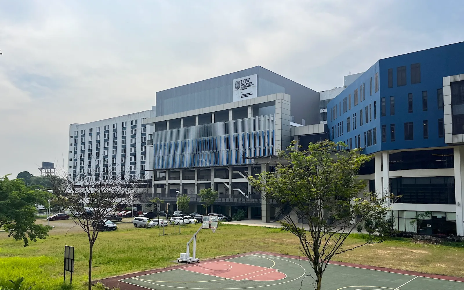 ウーロン ゴン 大学